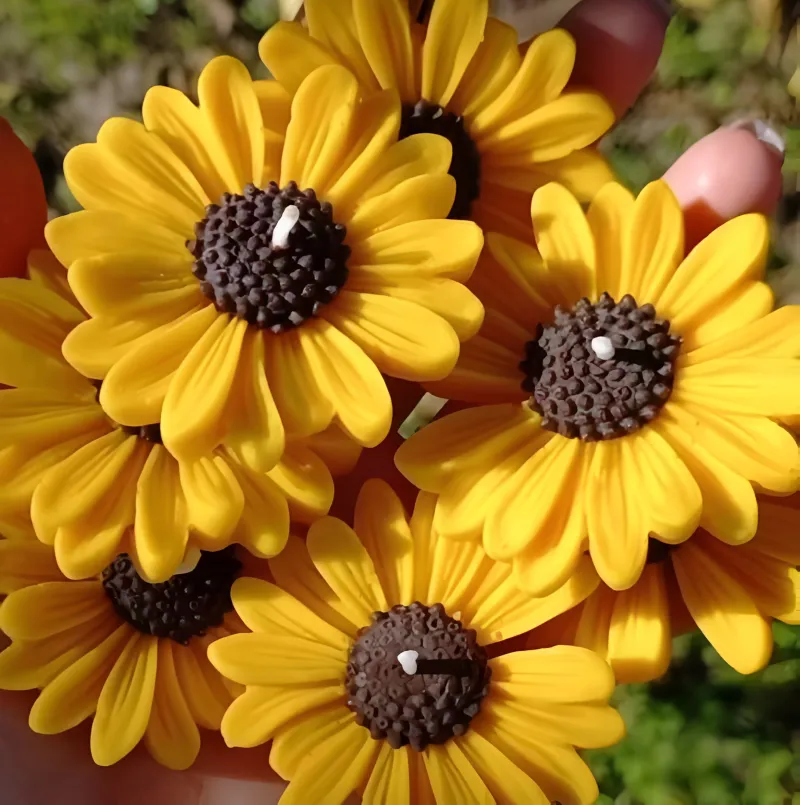Sunflower Bunch